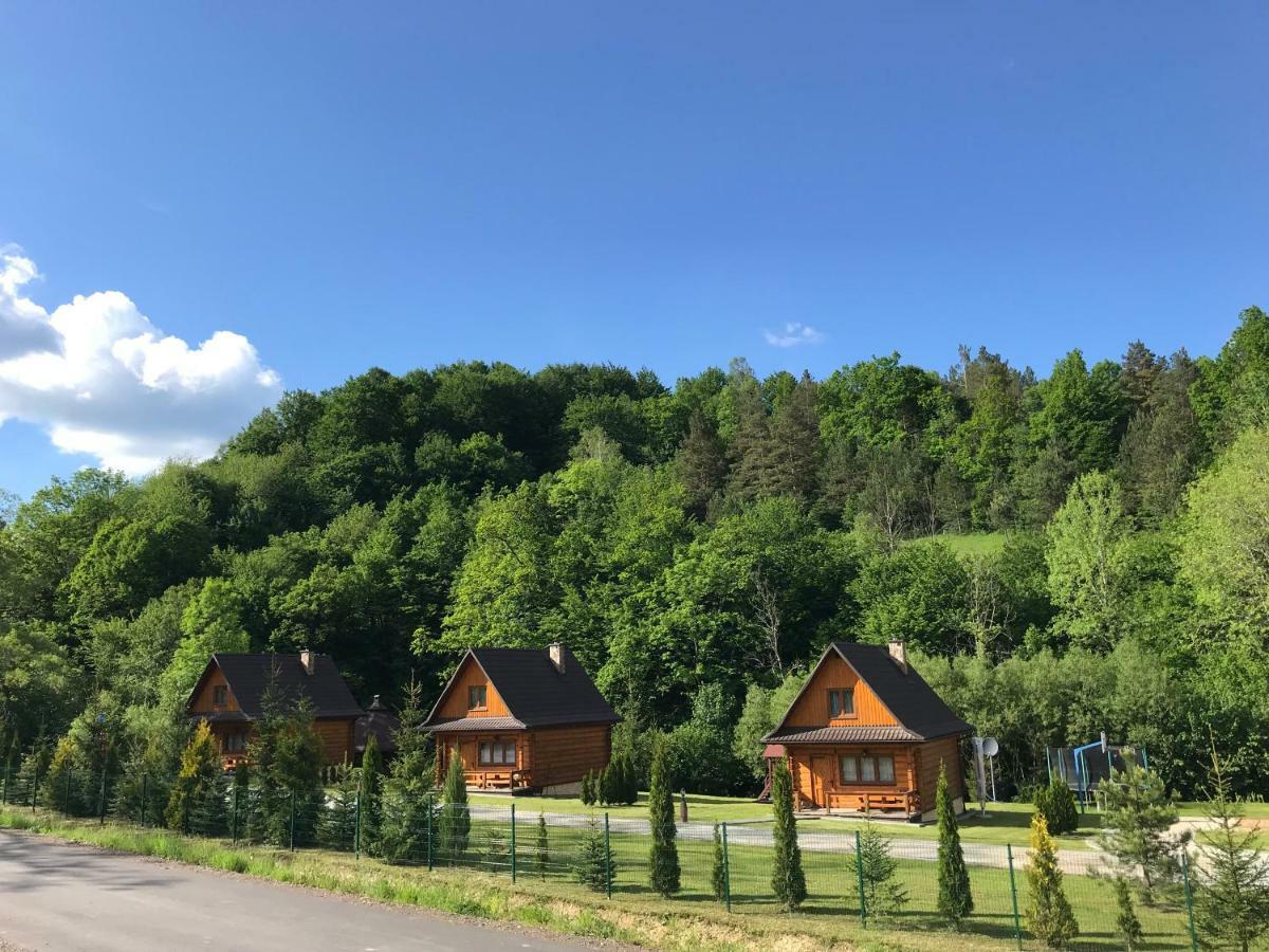 Osrodek Niezapominajka Hotel Górzanka Kültér fotó