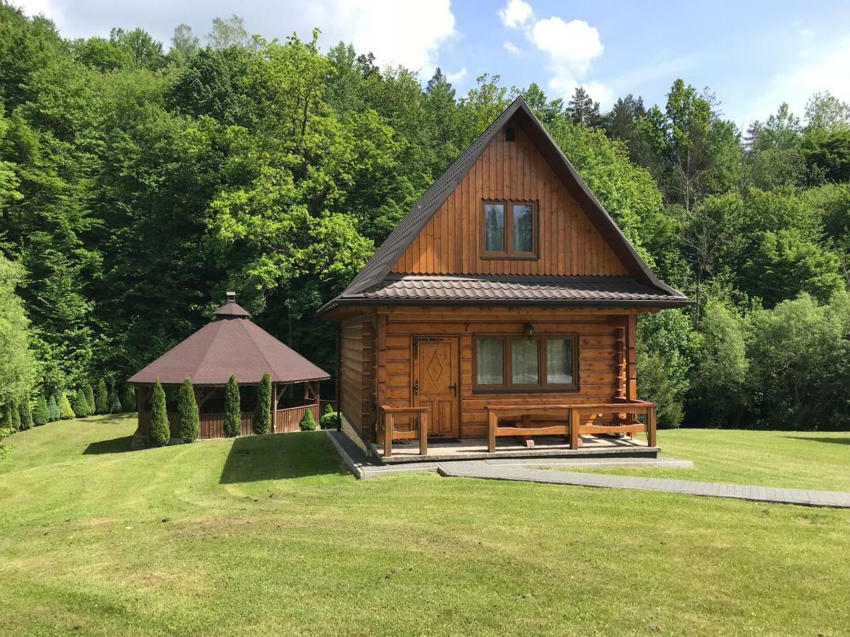Osrodek Niezapominajka Hotel Górzanka Kültér fotó